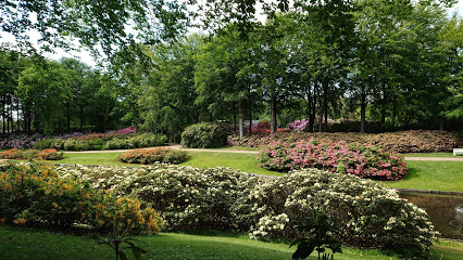 Rhododendronpark Brønderslev