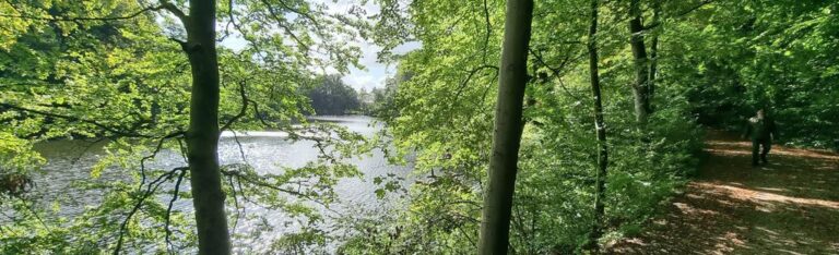 Marielundssøen/skoven - Smuk skov i Kolding Midtby